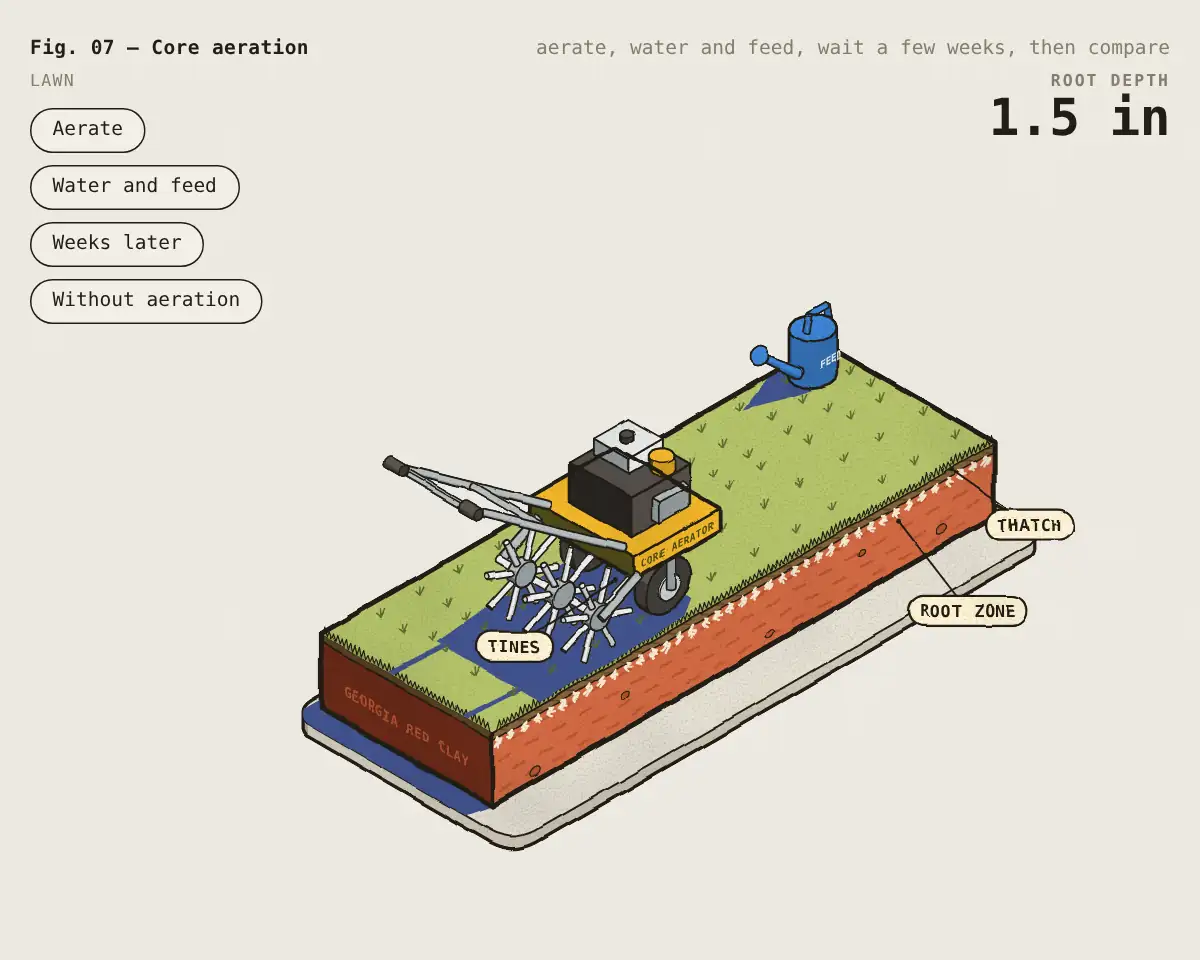 Illustration: How core aeration helps a compacted lawn